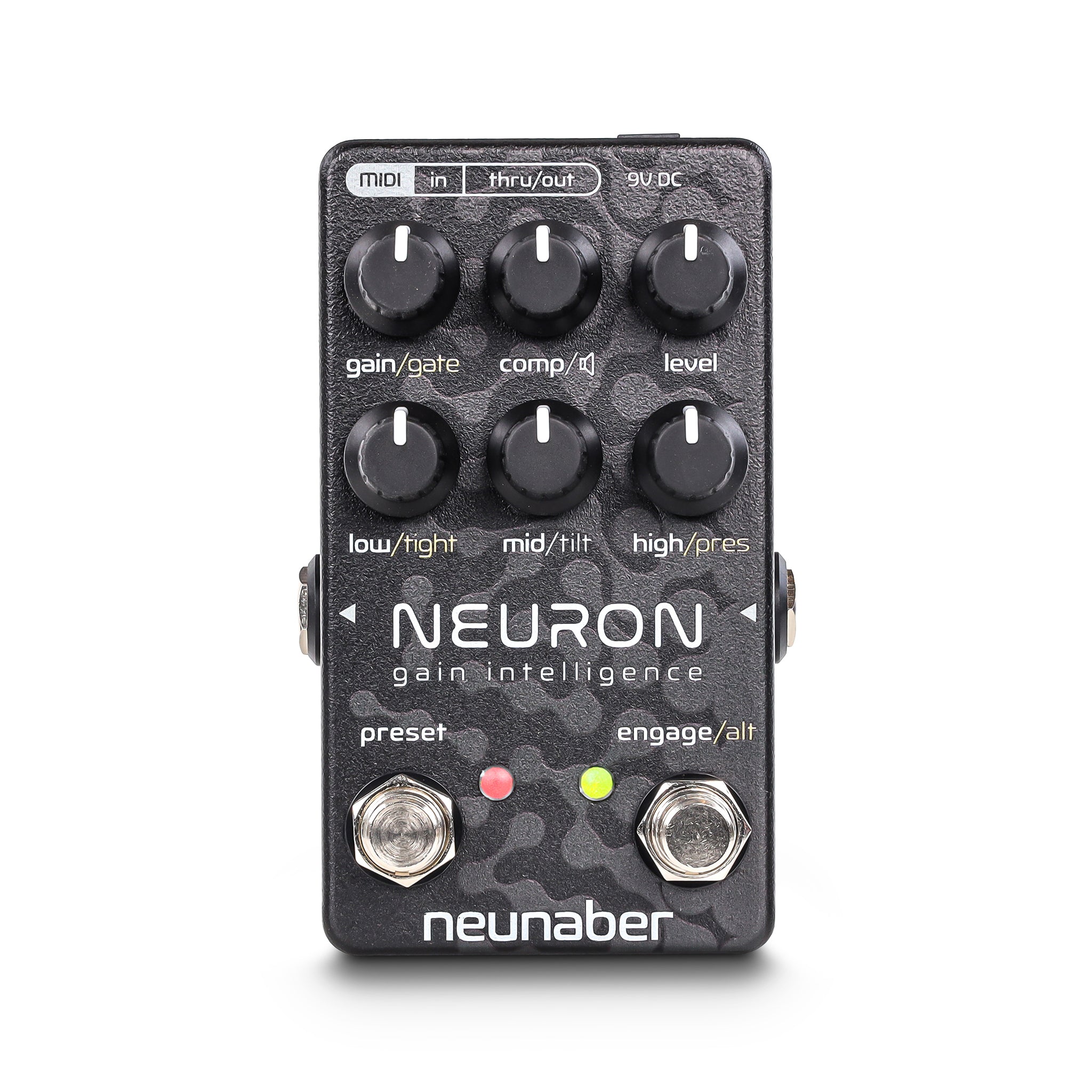 Neuron