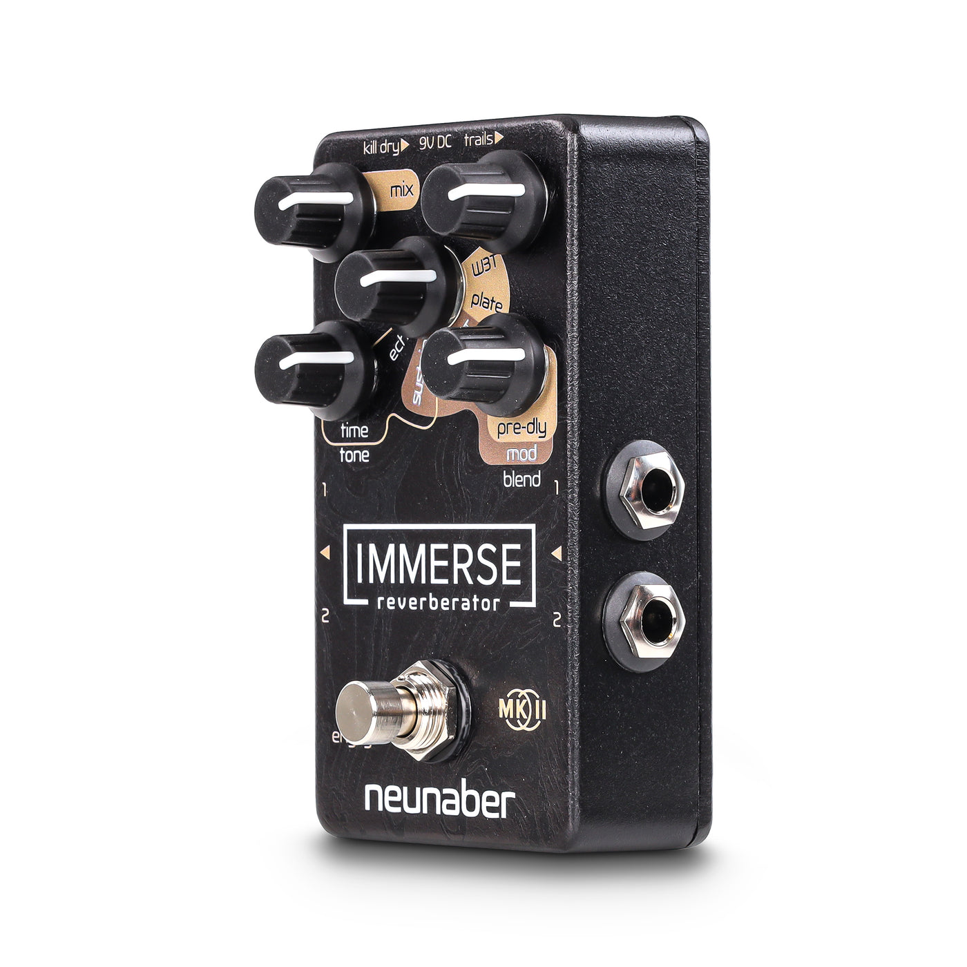 Neunaber Immerse pedal facing diagonally to the left