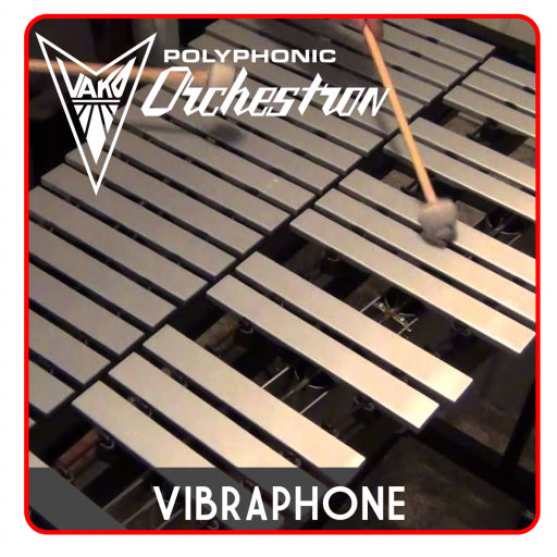 Panoptigon disc Vibraphone