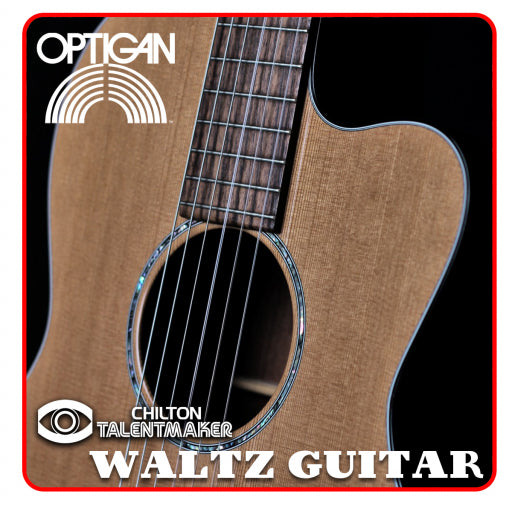 Panoptigon disc Waltz Guitar