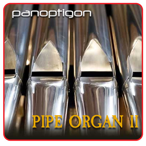 Panoptigon disc pipe organ 2